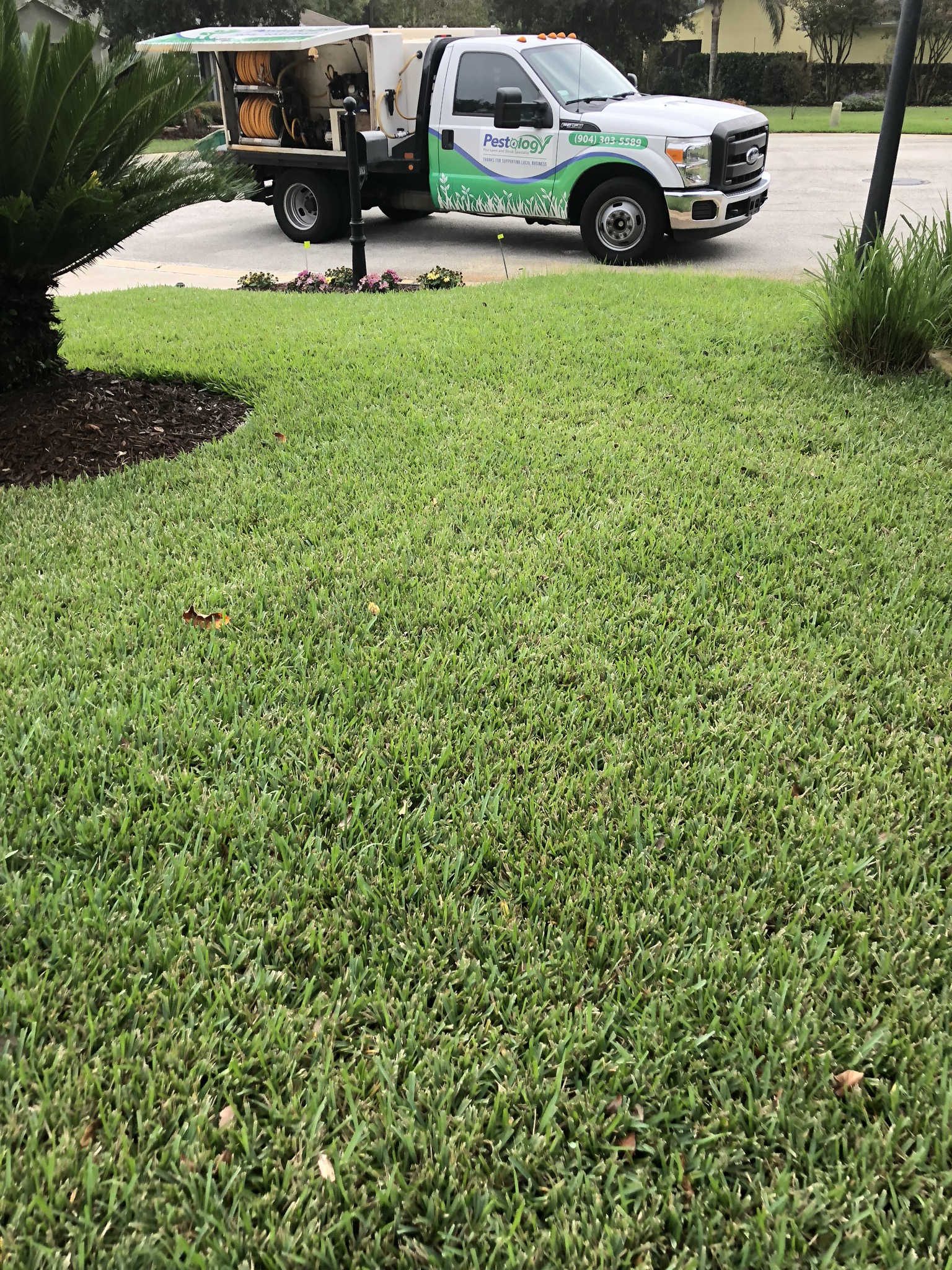 You are currently viewing Why Your Lawn Needs Fertilizing￼