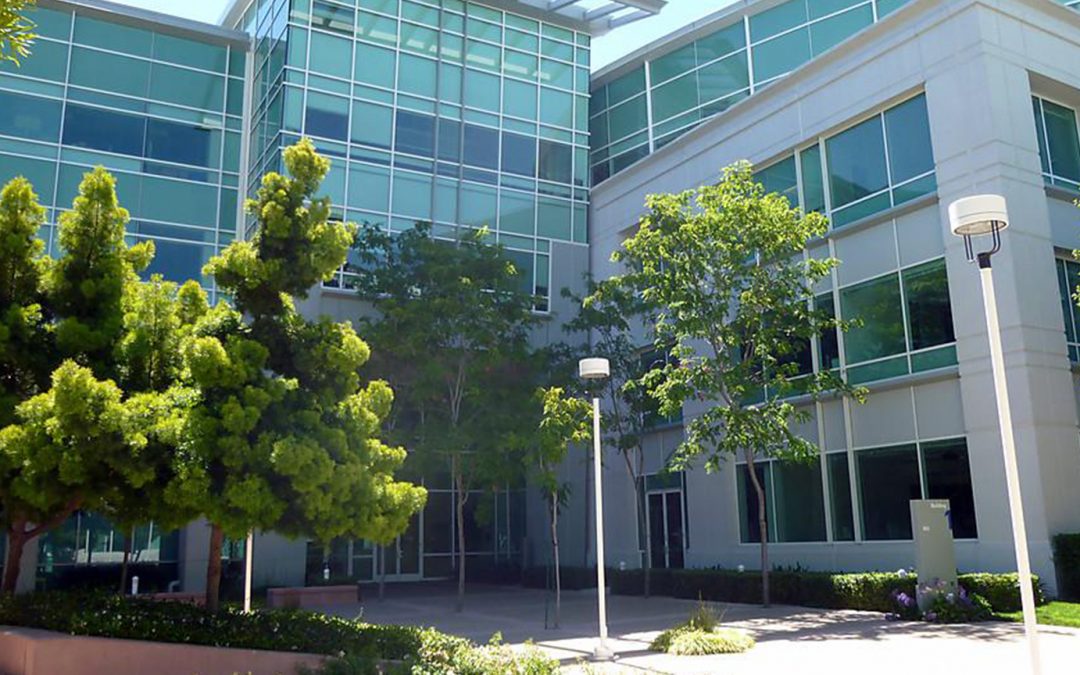 Commercial Pest Control Pest Control Jacksonville FL