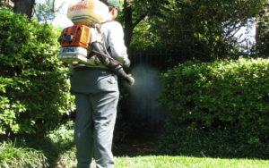 Read more about the article Mosquito Control