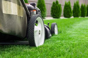 Read more about the article Lawn Care Supreme