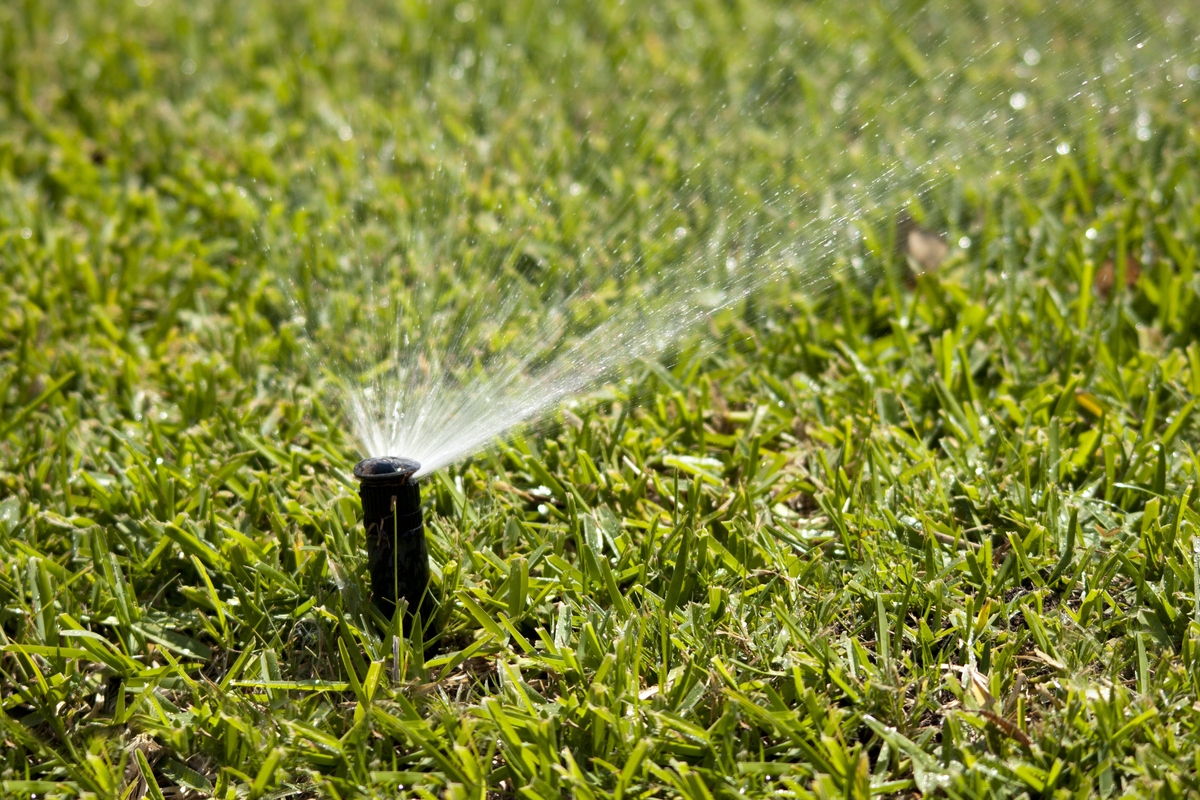 You are currently viewing Watering Recommendations in a St. Augustine Grass Lawn